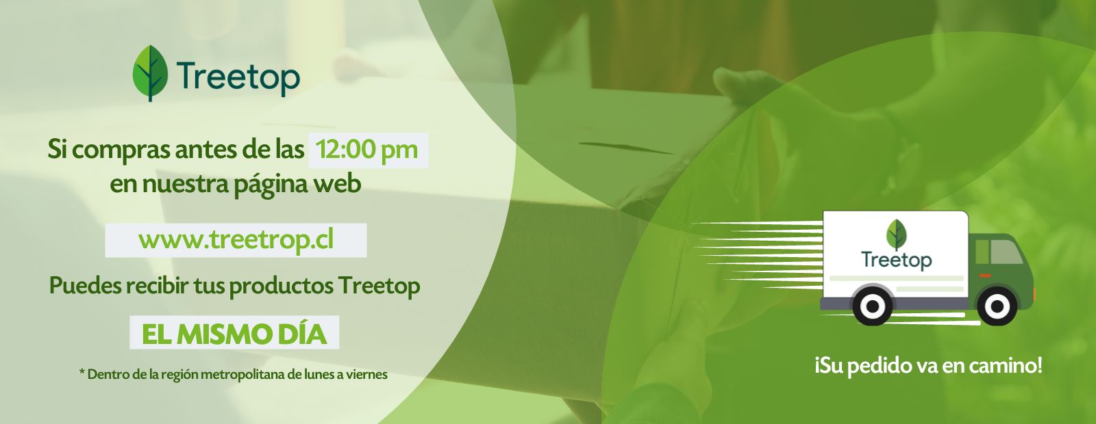 banner web Treetop (1)